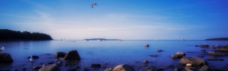 panorama, nature, the sky, sea, shore, stones, bird, boat, horizon