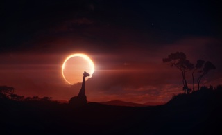 solar Eclipse, giraffe, valley, trees, silhouettes, creative