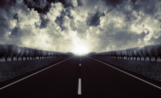 sunrise, clouds, trees, desert highway, the feeling of speed