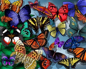 метелики, красиво, легко