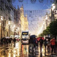 rain in the city, building, tram, pedestrians, umbrellas, autumn