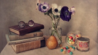 knihy, brýle, květiny, želé, boxovací pytel, banky s tabákem