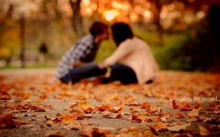 nature, macro, photo, PAIR, autumn, Love, love is on the ground, love on earth..., sunset, the sun