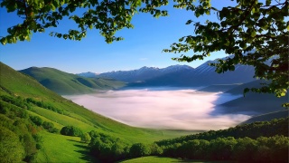 Italy, The Apennine mountains, mountain range, Monti Sibillini, valley, morning, fog, trees, branches, foliage, spring, May