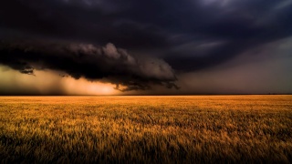 pole, mraky, bouřka