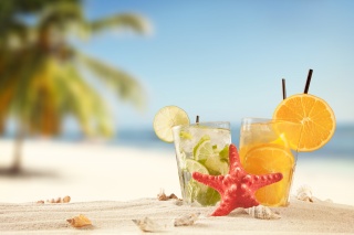 příroda, pláž, makro, palmové, PÁR, koktejl, mořská hvězda, mušle, písek, lime, pomeranč, led, chutné, žízeň, утоление