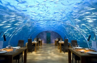 The Maldives, tropics, interior