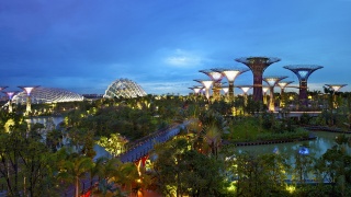 Singapore, Park, river, lights, beauty, building, greens