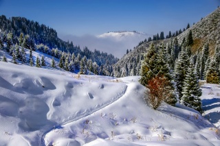 Wallpaper winter, mountains, ate, snow, path.