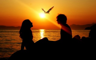 sunset, sea, girl, guy, bird