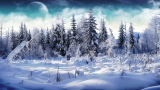 beautiful, winter, landscape