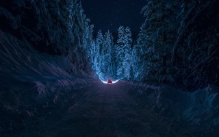 зима, дорога, ліс, машина, ніч