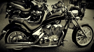 motorcycle, the bike, Honda