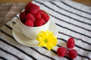 raspberry, fruit, Cup, tablecloth, flower, macro