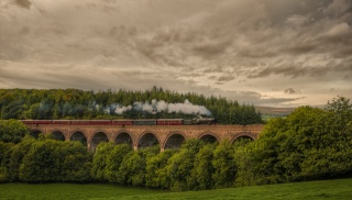 Anglie, most, složení, parní lokomotiva, lokomotiva, příroda, les, nebe, mraky