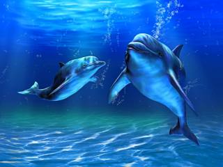 sea, ОБИТАТЕЛИ, dolphins