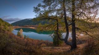 autumn, landscape, mountains, nature, the lake, tree, Altai, лиственница