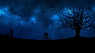 night, stars, tree, cyclists