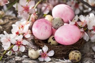 Easter, EGGS, the nest, flowers