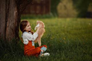 Юлия Соболева, child, girl, joy, Animal, kitten, nature, grass, tree, ствоо