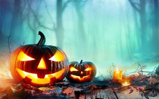 halloween, dýně, svítilna, svíčky, podzim, les, mlha