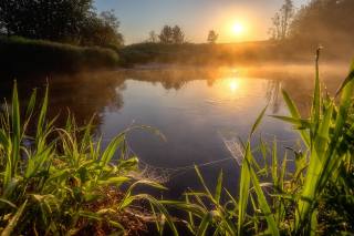 лето, восход, озеро, паутина, фото, Александр Пашеничев
