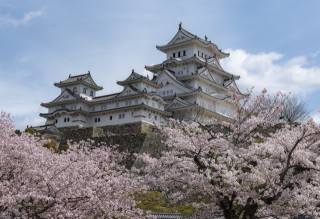 Японія, замок, весна, квітучі, дерева, Himeji, замок, місто