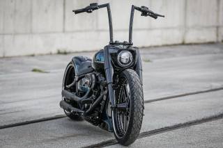 Harley Davidson, custom, Thunderbike, Fat Boy, black apple