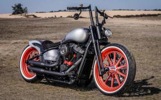 Harley Davidson, custom, Thunderbike, red, wheel, mbt, Street, bob