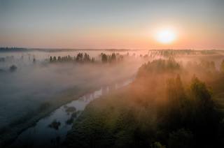 лето, речка, лес, туман, Руслан Кондратенко