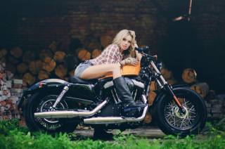 motorcycle, the bike, girl, blonde, harley