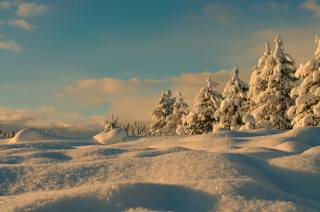 landscape, snow, forest, the sky