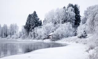 река, деревья, домик, снег