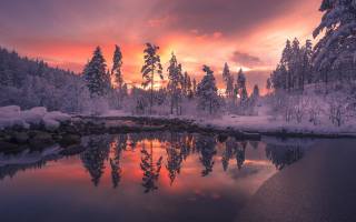 nature, beautiful, winter, sunrise, forest, trees, snow, the lake, reflection