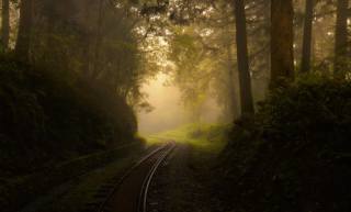 ráno, mlha, železnice