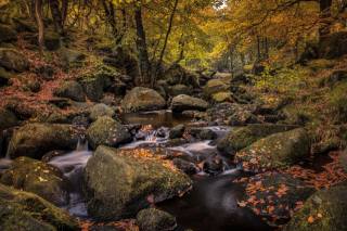 річка, осінь, природа