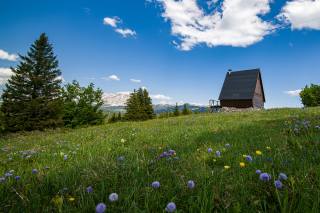 mountains, summer, France, meadow, Vercors, Massif, Alps, nature