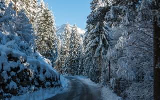 mountains, snow, road, forest
