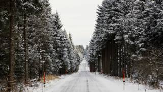 forest, road, snow