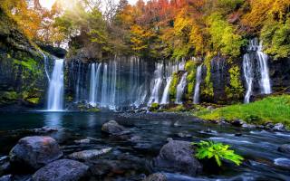 nature, beautiful, trees, stones, waterfall, leaves, autumn
