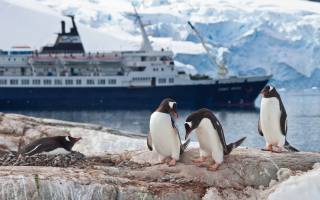 Antarctica, Antarktida, cestování, emperor penguin colony, cruise ship, parníku