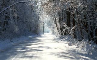 forest, snow, road, machine