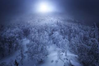 zima, krajina, v noci, foto, Николай Шевченко