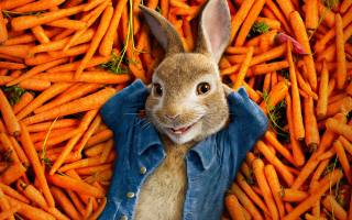 кролик питер, морква, помаранчевий