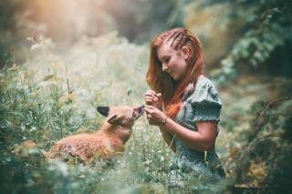 girl, Fox, nature