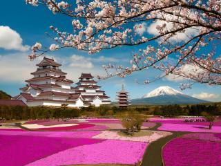spring, Fuji, the volcano, Japan, Park, Sakura, castle, Mount Fuji