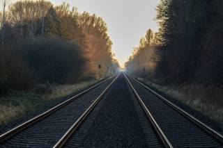 forest, railway
