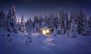 winter, forest, light, snow, trees, landscape, night, nature, stars, ate, drifts, gazebo