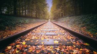 ліс, залізниця, листя, осінь