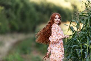 girl, long hair, field, corn